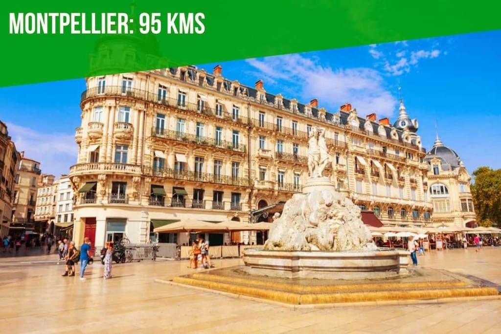 Aux Marches Du Palais - Ac Clim - Spacieux - Terrasse - Wifi Avinhão Exterior foto
